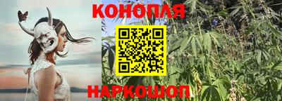 спиды Гусь-Хрустальный
