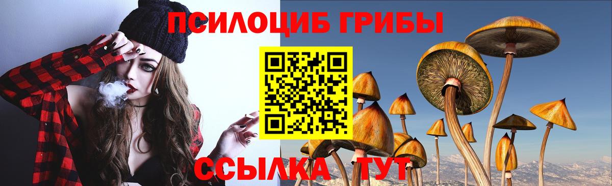 Галлюциногенные грибы Psilocybine cubensis Мыски
